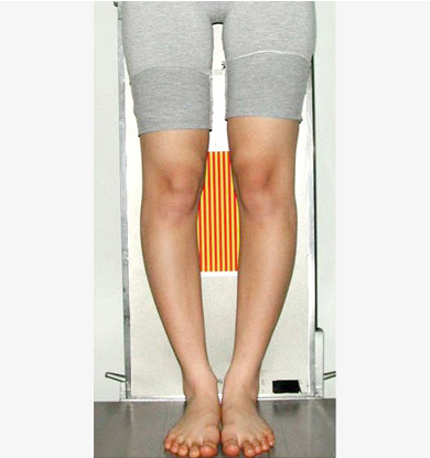 회전형 휜다리